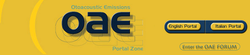 ENTER the ENGLISH PORTAL with English content 